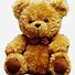 Image result for White Background with Cute Bear Cartoon