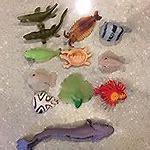 Image result for Sea Animal Rubber Bath Toys