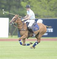 Image result for Prince Harry Polo Game