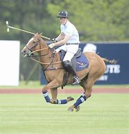 Image result for Prince Harry Play Polo