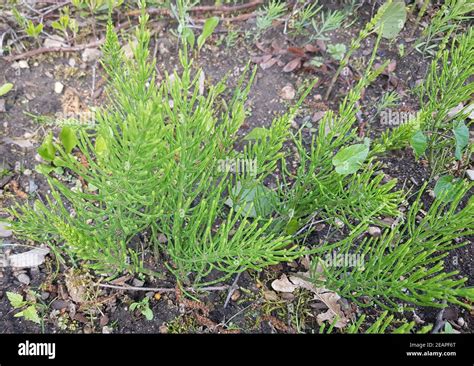 Image result for Delta VFD Control Using Table Method