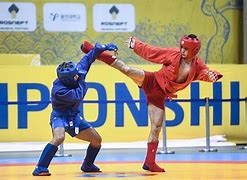 Image result for Sambo Fighting Style