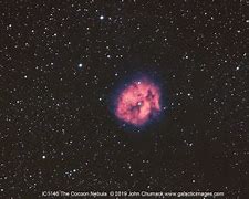 Image result for Cocoon Nebula