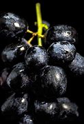 Image result for Grape