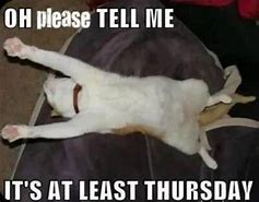 Image result for Thursday May 4 Memes Funny