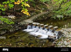 Image result for Stepping Stones in Tollymore Forest Park