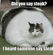 Image result for Did You Say Steak Meme