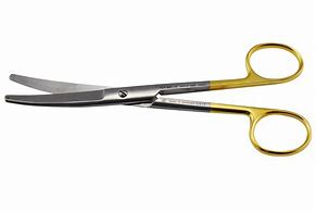 Image result for Blunt-Ended Scissors