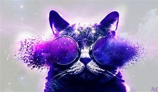 Image result for Galaxy Cat Profile Picture