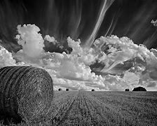 Image result for Amazing Black and White