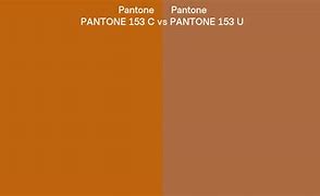 Image result for Pantone 153 C