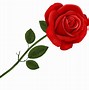 Image result for Transparent Rose Clip Art