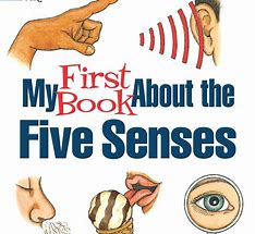 Image result for Books 5 Senses for a Montessori Classroom