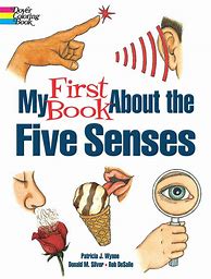 Image result for Book About Five Senses