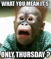 Image result for Good Thursday Funny