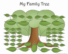 Image result for Family Tree Drawing Template