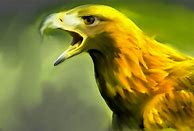 Image result for Yellow Hawk Sangiovese