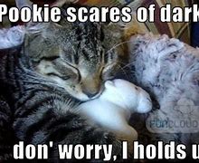 Image result for Pookie Cat Meme