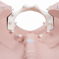 Image result for Cervical Dilation Simulator