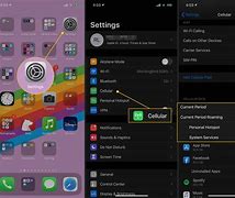 Image result for iPhone Cellular Data Settings