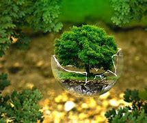 Image result for ecologismo
