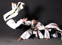 Image result for Hapkido Martial Arts