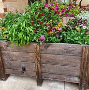 Image result for Self Watering Planter Boxes