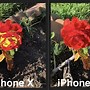 Image result for iPhone XS vs 12