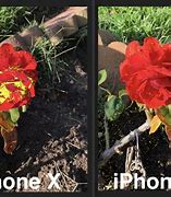 Image result for iPhone 10 vs 13