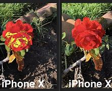 Image result for iPhone XS Camera Quality at Very Low Light