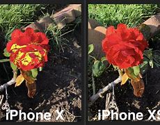 Image result for iPhone XVS XS Structure