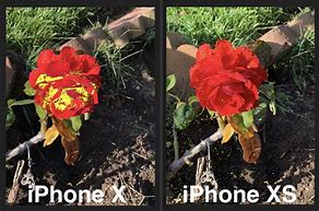 Image result for iPhone XS Camera Examples