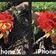 Image result for iPhone Square Camera Photo Template