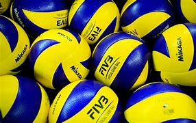 Image result for Volleyball Ball HD