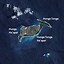 Image result for Hunga Tonga Volcano Eruption From Space