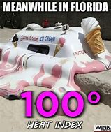 Image result for Florida Heat Funny Memes