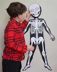 Image result for Life-Size Skeleton Cut Out
