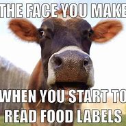 Image result for Cow Memes Ai