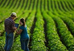 Image result for agriindustria