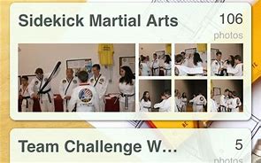Image result for Sidekick Martial Arts