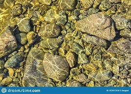 Image result for Washed River Pebbles