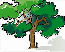 Image result for Tree Pls