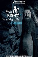 Image result for Harry Potter Fan Quotes