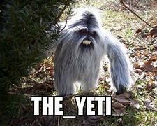 Image result for Hunting for the Yeti Meme