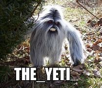 Image result for Funny Yeti Sayings