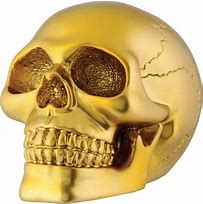Image result for Gold Skull Head