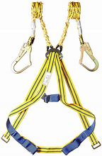 Image result for Double Lanyard Safety Belt