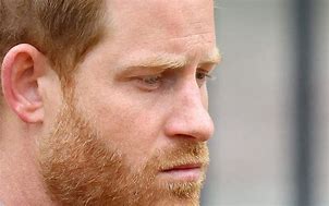 Image result for Duke of Sussex Book