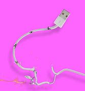 Image result for iPhone Charger Cord Cut in Half