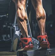 Image result for Building Calf Muscles